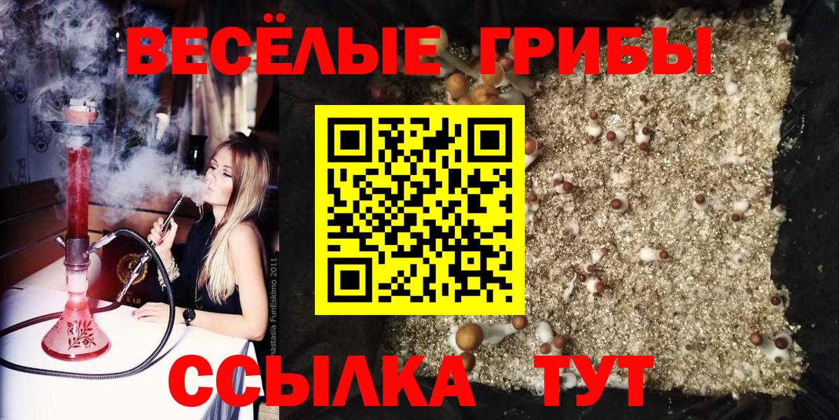 Alpha-PVP Губкин