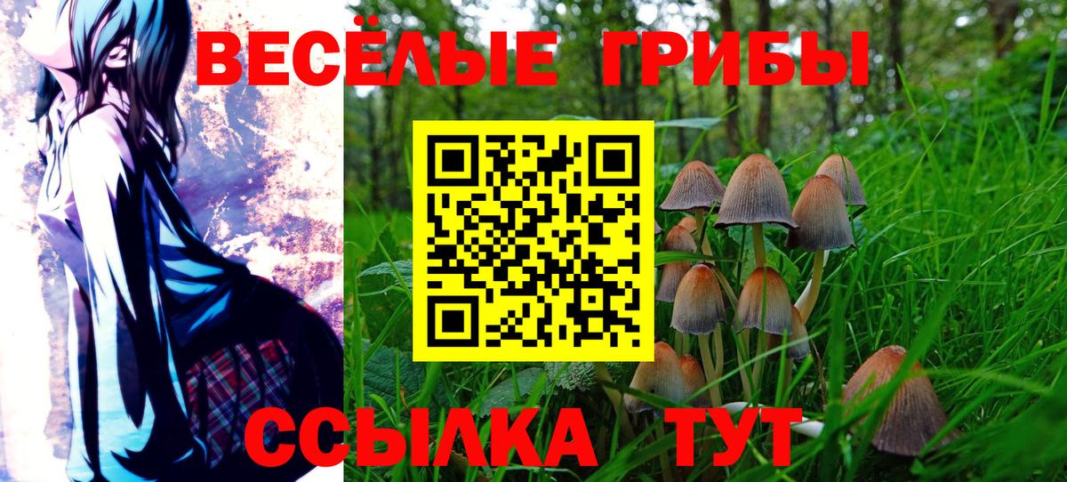 Галлюциногенные грибы мухоморы Губкин